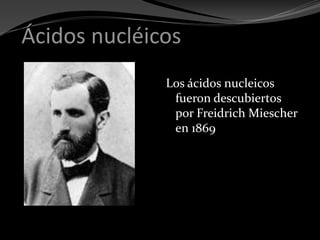 Ácidos nucléicos
Los ácidos nucleicos
fueron descubiertos
por Freidrich Miescher
en 1869
 