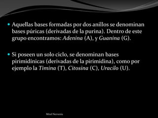  Aquellas bases formadas por dos anillos se denominan
bases púricas (derivadas de la purina). Dentro de este
grupo encontramos: Adenina (A), y Guanina (G).
 Si poseen un solo ciclo, se denominan bases
pirimidínicas (derivadas de la pirimidina), como por
ejemplo la Timina (T), Citosina (C), Uracilo (U).
Mirel Nervenis
 