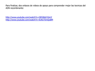 Para finalizar, dos enlaces de videos de apoyo para comprender mejor las tecnicas del
ADN recombinante:



http://www.youtube.com/watch?v=QEG8dz7cbnY
http://www.youtube.com/watch?v=6vKLT5mQoBM
 