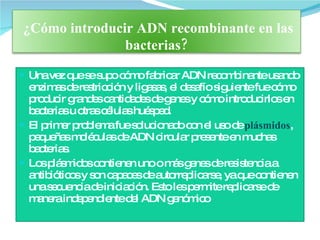 Una vez que se supo cómo fabricar ADN recombinante usando enzimas de restricción y ligasas, el desafío siguiente fue cómo producir grandes cantidades de genes y cómo introducirlos en bacterias u otras células huésped. El primer problema fue solucionado con el uso de  plásmidos , pequeñas moléculas de ADN circular presente en muchas bacterias.  Los plásmidos contienen uno o más genes de resistencia a antibióticos y son capaces de autorreplicarse, ya que contienen una secuencia de iniciación. Esto les permite replicarse de manera independiente del ADN genómico   ¿Cómo introducir ADN recombinante en las bacterias? 