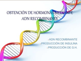 OBTENCIÓN DE HORMONAS MEDIANTE
ADN RECOMBINANTE
ADN RECOMBINANTE
PRODUCCIÓN DE INSULINA
PRODUCCIÓN DE G.H.
 