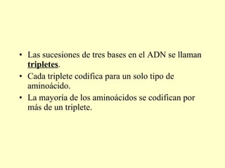 Las sucesiones de tres bases en el ADN se llaman  tripletes . Cada triplete codifica para un solo tipo de aminoácido. La mayoría de los aminoácidos se codifican por más de un triplete. 