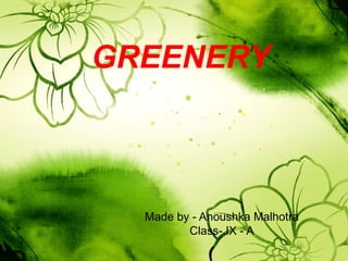 GREENERY 
Made by - Anoushka Malhotra 
Class- IX - A 
 
