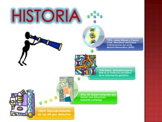 1953: James Watson y Francis
                                             Crick, descubren estructura
                                             tridimensional del ácido
                                             desoxirribonucleico (ADN)




                                       1944 Avery demuestra que el
                                       ADN es la molécula portadora
                                       de la información genética.




                         Años 30: Kossel comprobó que
                         tenían una estructura
                         bastante compleja



1869: Descubrimiento
de los AN por Meischer
 