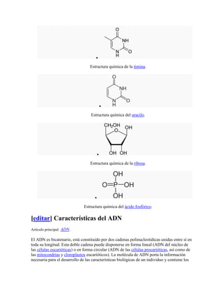 Estructura química de la timina.




                                  Estructura química del uracilo.




                                  Estructura química de la ribosa.




                              Estructura química del ácido fosfórico.

[editar] Características del ADN
Artículo principal: ADN.

El ADN es bicatenario, está constituido por dos cadenas polinucleotídicas unidas entre sí en
toda su longitud. Esta doble cadena puede disponerse en forma lineal (ADN del núcleo de
las células eucarióticas) o en forma circular (ADN de las células procarióticas, así como de
las mitocondrias y cloroplastos eucarióticos). La molécula de ADN porta la información
necesaria para el desarrollo de las características biológicas de un individuo y contiene los
 
