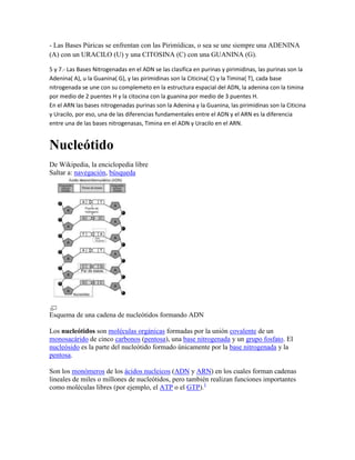 - Las Bases Púricas se enfrentan con las Pirimídicas, o sea se une siempre una ADENINA
(A) con un URACILO (U) y una CITOSINA (C) con una GUANINA (G).

5 y 7.- Las Bases Nitrogenadas en el ADN se las clasifica en purinas y pirimidinas, las purinas son la
Adenina( A), u la Guanina( G), y las pirimidinas son la Citicina( C) y la Timina( T), cada base
nitrogenada se une con su complemeto en la estructura espacial del ADN, la adenina con la timina
por medio de 2 puentes H y la citocina con la guanina por medio de 3 puentes H.
En el ARN las bases nitrogenadas purinas son la Adenina y la Guanina, las pirimídinas son la Citicina
y Uracilo, por eso, una de las diferencias fundamentales entre el ADN y el ARN es la diferencia
entre una de las bases nitrogenasas, Timina en el ADN y Uracilo en el ARN.


Nucleótido
De Wikipedia, la enciclopedia libre
Saltar a: navegación, búsqueda




Esquema de una cadena de nucleótidos formando ADN

Los nucleótidos son moléculas orgánicas formadas por la unión covalente de un
monosacárido de cinco carbonos (pentosa), una base nitrogenada y un grupo fosfato. El
nucleósido es la parte del nucleótido formado únicamente por la base nitrogenada y la
pentosa.

Son los monómeros de los ácidos nucleicos (ADN y ARN) en los cuales forman cadenas
lineales de miles o millones de nucleótidos, pero también realizan funciones importantes
como moléculas libres (por ejemplo, el ATP o el GTP).1
 