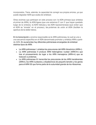 incorporados. Tiene, además, la capacidad de corregir sus propios errores, ya que
puede degradar ADN que acaba de sintetizar.
Otras enzimas que participan en este proceso son: la ADN primasa (que sintetiza
el primer de ARN), la ADN ligasa (que une extremos 5’ con 3’ que hayan quedado
luego de la síntesis), la ADN helicasa y las ADN topoisomerasas (que evitan que
el ADN se “enrede” en el proceso), las proteínas de unión al ADN (facilitan la
apertura de la doble hebra).
En la transcripción a enzima responsable es la ARN polimerasa, la cual se une a
una secuencia específica en el ADN denominada promotor y sintetiza ARN a partir
de ADN. En eucariontes hay diferentes polimerasas encargadas de sintetizar
distintos tipos de ARN.
La ARN polimerasa I: sintetiza los precursores del ARN ribosómico (ARN-r).
La ARN polimerasa II: produce ARN heterogéneo nuclear (ARN-hn) que
tras el procesamiento da lugar a los ARN mensajeros (ARN-m) que se
traducen a proteínas.
La ARN polimerasa III: transcribe los precursores de los ARN transferentes
(ARN-t), los ARN nucleares y citoplásmicos de pequeño tamaño y los genes
para el ARN 5S que forma parte de la subunidad grande de los ribosomas.
 