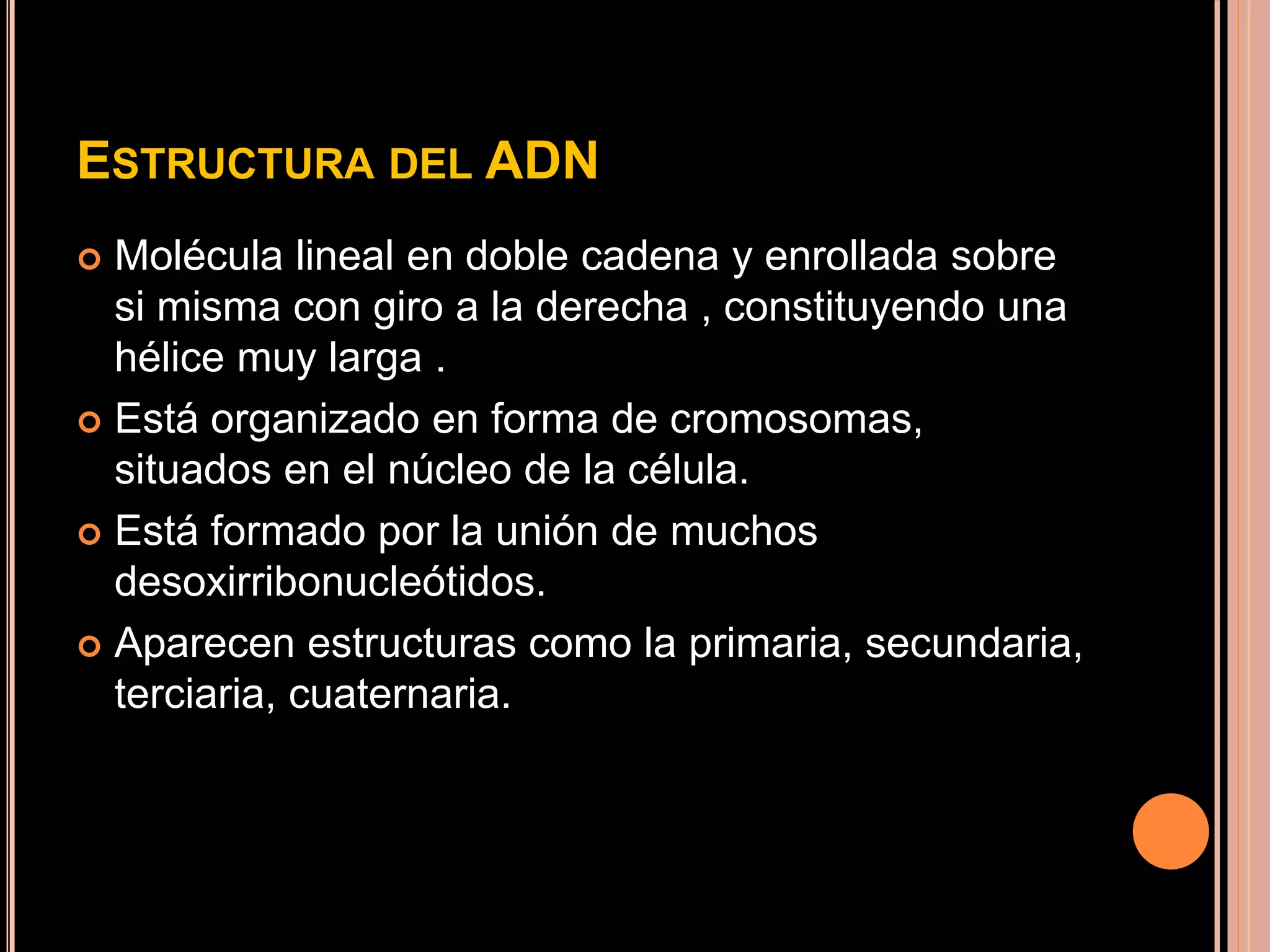 ADN Y ARN | PPTX | Biological Sciences | Science