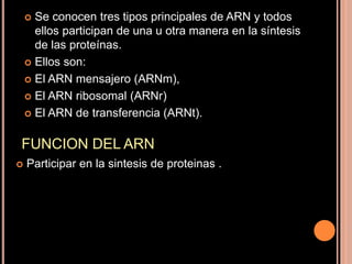  Se conocen tres tipos principales de ARN y todos
ellos participan de una u otra manera en la síntesis
de las proteínas.
 Ellos son:
 El ARN mensajero (ARNm),
 El ARN ribosomal (ARNr)
 El ARN de transferencia (ARNt).
FUNCION DEL ARN
 Participar en la sintesis de proteinas .
 