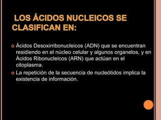  Ácidos Desoxirribonucleicos (ADN) que se encuentran
residiendo en el núcleo celular y algunos organelos, y en
Ácidos Ribonucleicos (ARN) que actúan en el
citoplasma.
 La repetición de la secuencia de nucleótidos implica la
existencia de información.
 