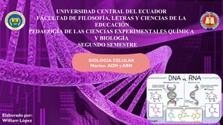 UNIVERSIDAD CENTRAL DEL ECUADOR
FACULTAD DE FILOSOFÍA, LETRAS Y CIENCIAS DE LA
EDUCACIÓN
PEDAGOGÍA DE LAS CIENCIAS EXPERIMENTALES QUÍMICA
Y BIOLOGÍA
SEGUNDO SEMESTRE
BIOLOGÍA CELULAR
Núcleo: ADN y ARN
Elaborado por:
William López
 