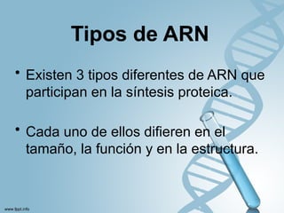 Comprehensive Overview of Nucleic Acids, Genetic Code, and Covalent ...