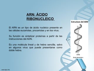 Comprehensive Overview of Nucleic Acids, Genetic Code, and Covalent ...