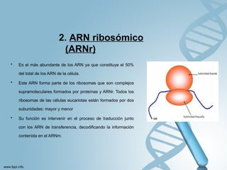 Comprehensive Overview of Nucleic Acids, Genetic Code, and Covalent ...