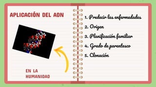 EN LA
HUMANIDAD
APLICACIÓN DEL ADN 1. Predecir las enfermedades
2. Origen
3. Planificación familiar
4. Grado de parentesco
5. Clonación
 