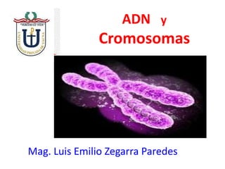 ADN y
Cromosomas
Mag. Luis Emilio Zegarra Paredes
 