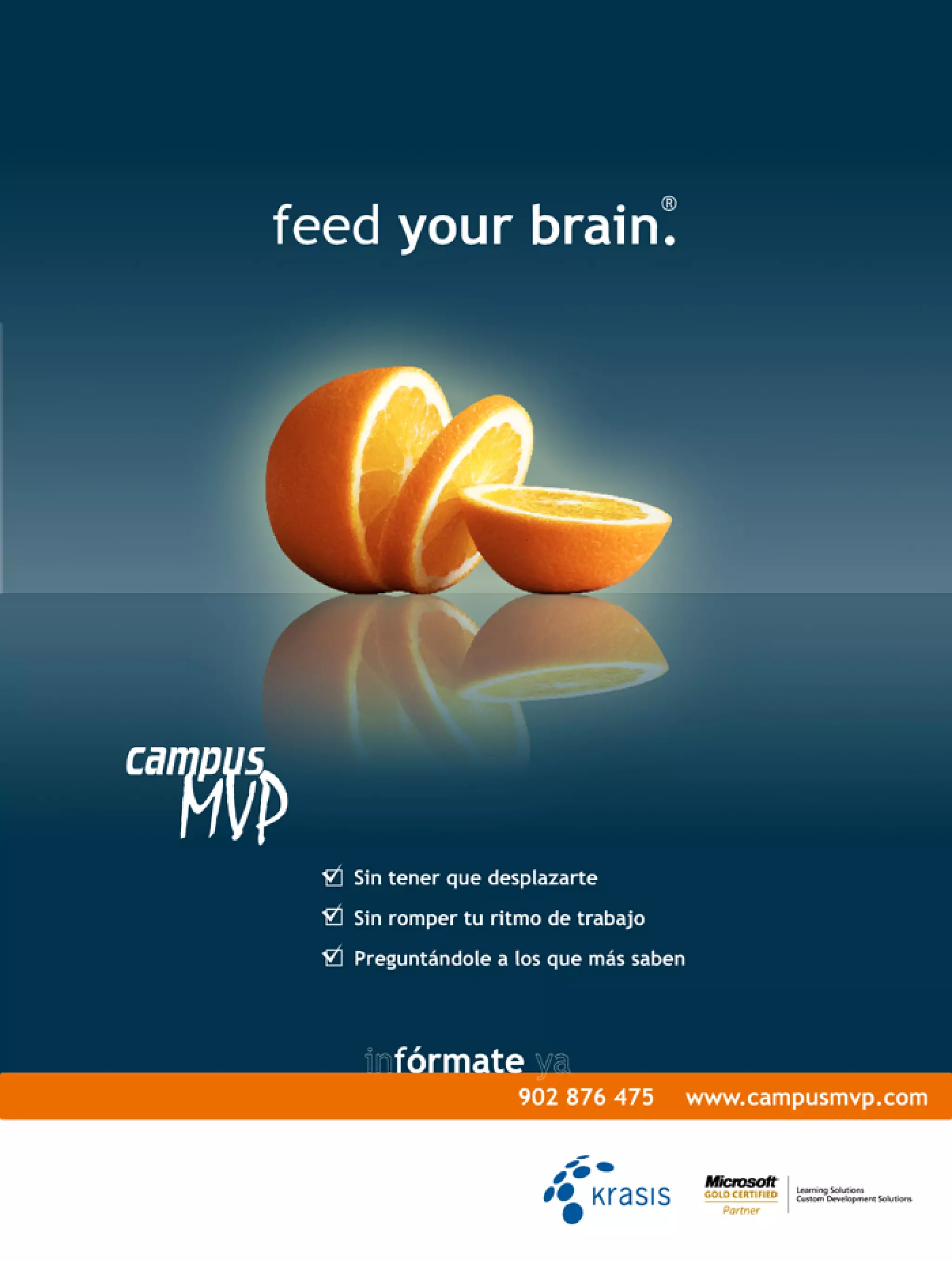 Ado.net entity framework