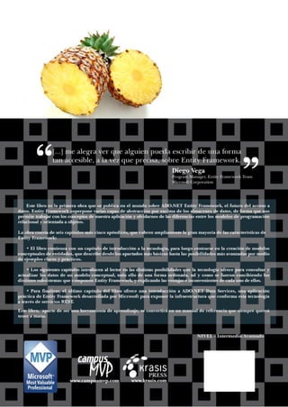 Ado.net entity framework