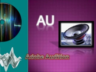AU Adobe Audition 