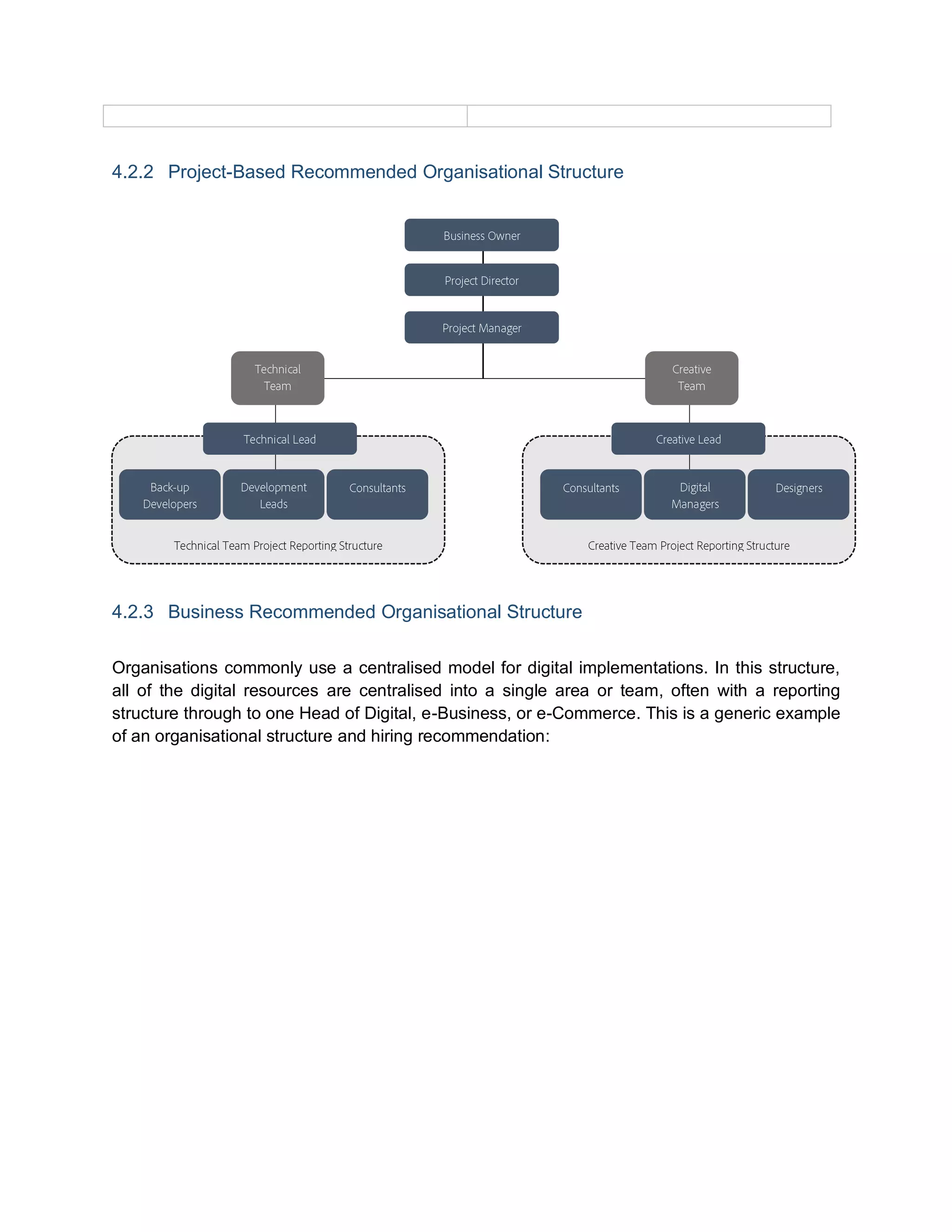 4.2.2 Project-Based Recommended Organisational Structure
4.2.3 Business Recommended Organisational Structure
Organisations commonly use a centralised model for digital implementations. In this structure,
all of the digital resources are centralised into a single area or team, often with a reporting
structure through to one Head of Digital, e-Business, or e-Commerce. This is a generic example
of an organisational structure and hiring recommendation:
 