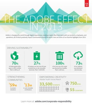 The Adobe Effect in 2013