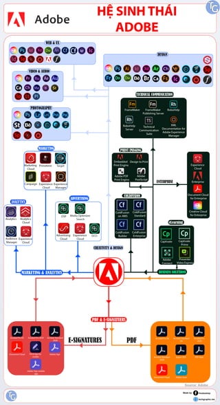 Adobe ecosystem