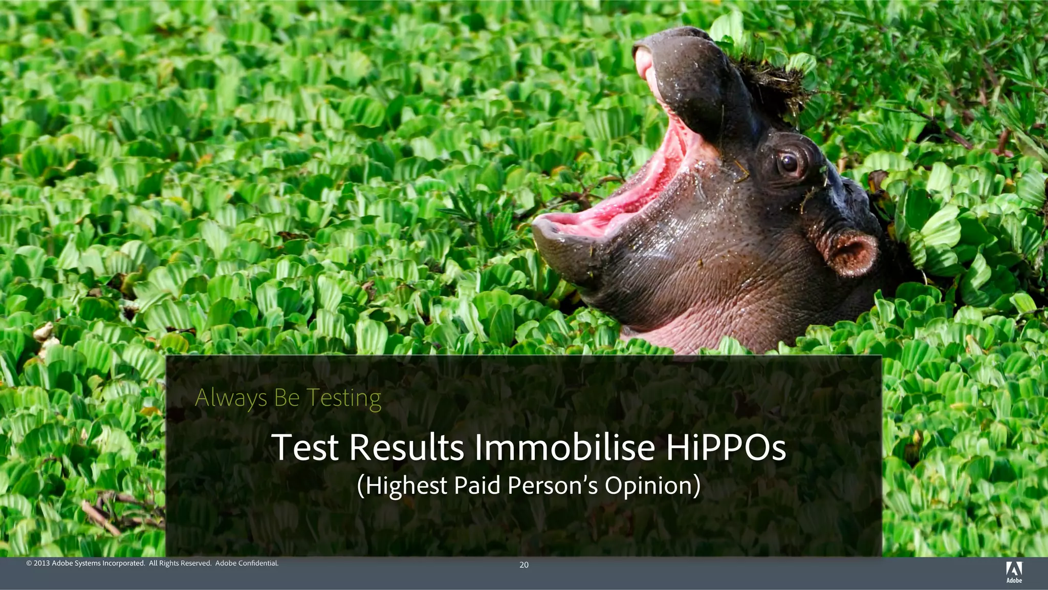 Always Be Testing 
Test Results Immobilise HiPPOs 
(Highest Paid Person’s Opinion) 
© 2013 Adobe Systems Incorporated. All Rights Reserved. Adobe Confidential. 20 
 