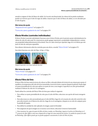 Última modificación 5/5/2010                                                                      USO DE AFTER EFFECTS CS5 475
                                                                                Efectos y ajustes preestablecidos de animación



entrada se asignan al valor de blanco de salida. Si el recorte está desactivado, los valores de los píxeles resultantes
pueden ser menores que el valor de negro de salida o mayores que el valor de blanco de salida y se ven afectados por
el valor de gama.


Más temas de ayuda
“Respuesta de tono y gamma” en la página 273
“Corrección, ajuste y gradación de color” en la página 270


Efecto Niveles (controles individuales)
El efecto Niveles (controles individuales) funciona como el efecto Niveles, pero le permite ajustar individualmente los
valores de color de cada canal. En consecuencia, puede agregar expresiones a propiedades independientes o animar
una propiedad independientemente de las demás. Para ver cada control por separado, haga clic en la flecha que está
junto al color de canal para expandirlo.
Para obtener información sobre los controles para este efecto, consulte “Efecto Niveles” en la página 473.
Este efecto funciona con color de 8 bpc, 16 bpc y 32 bpc.




Original (izquierda) y con el efecto aplicado (derecha)


Más temas de ayuda
“Efecto Niveles” en la página 473
“Corrección, ajuste y gradación de color” en la página 270


Efecto Filtro de foto
El efecto Filtro de fotos imita la técnica de colocar un filtro coloreado delante de la lente de una cámara para ajustar el
equilibrio y la temperatura del color de la luz transmitida a través de la lente y exponer después la película. Puede elegir
un ajuste preestablecido de color para aplicar un ajuste de tono a una imagen o especificar un color personalizado
mediante el Selector de color de o el cuentagotas.
Puede utilizar los controles del Efecto Filtro de fotos para realizar lo siguiente:
• Para utilizar un ajuste preestablecido de color para el color del filtro, seleccione una opción del menú emergente
  Filtro.
• Para seleccionar un color personalizado para el color del filtro, haga clic en la muestra de color del control de color
  para seleccionarlo con el Selector de color de o haga clic en el cuentagotas y después en un color de cualquier parte
  la pantalla del equipo.
• Para definir la cantidad de color aplicado a la imagen, ajuste la Densidad.
• Para asegurarse de que la imagen no se oscurece con el efecto, seleccione Conservar luminosidad.
   Para mantener las capas de ajuste de filtro de fotos creadas con Photoshop, importe el archivo de Photoshop en el
   proyecto de After Effects como una composición en lugar de como material de archivo. Si cambia los ajustes de color
de Photoshop, After Effects puede que no pueda equiparar exactamente el color de Filtro de fotos.
 