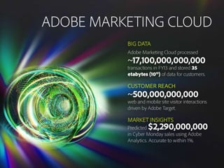 Adobe by the Numbers - 2013