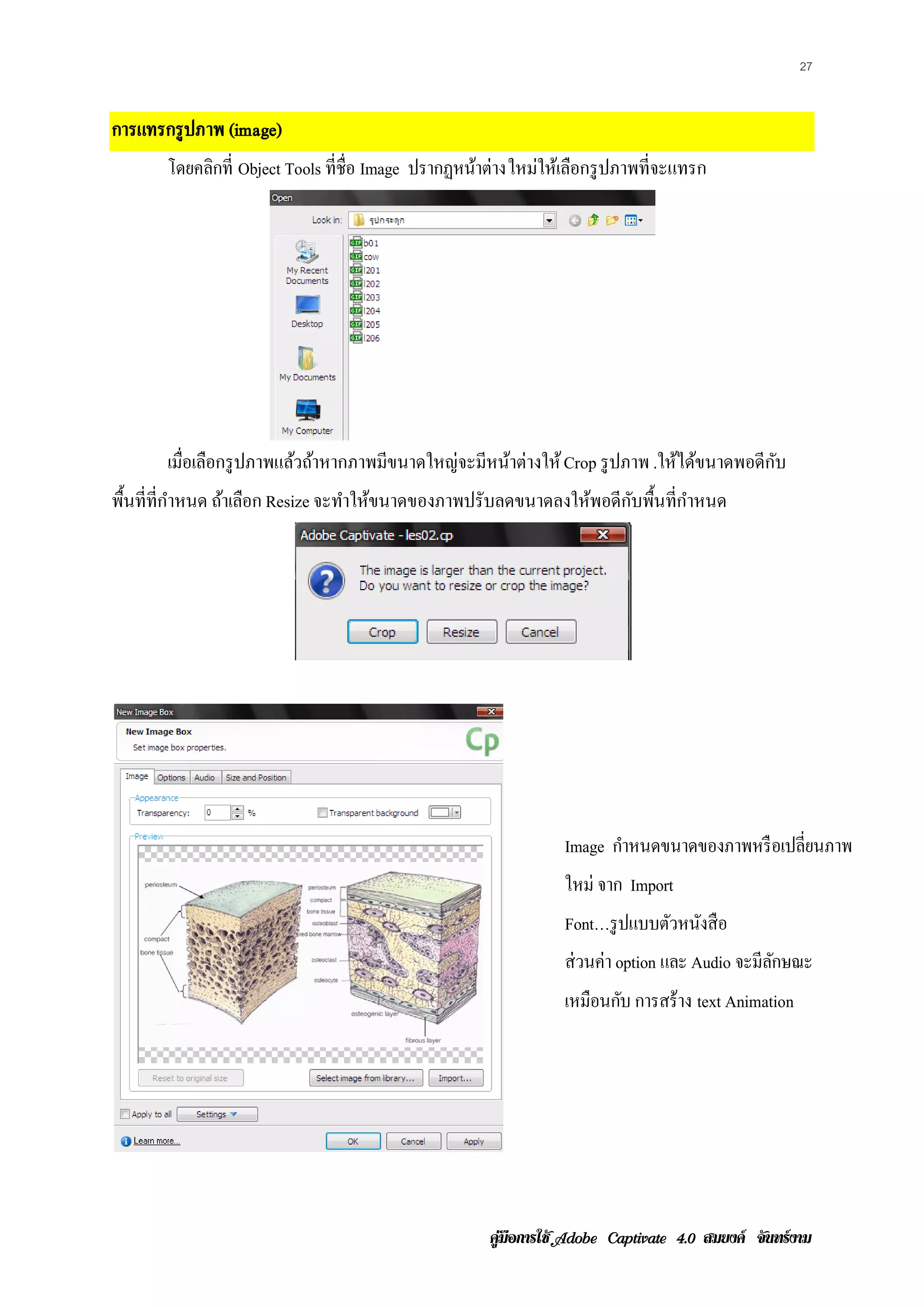 27


การแทรกรู ปภาพ (image)
       โดยคลิกที่ Object Tools ที่ชื่อ Image ปรากฏหนาต่างใหม่ให้เลือกรู ปภาพที่จะแทรก
                                                    ้




       เมือเลือกรู ปภาพแล้วถ้าหากภาพมีขนาดใหญ่จะมีหน้าต่างให้ Crop รู ปภาพ .ให้ได้ขนาดพอดีกบ
          ่                                                                                ั
พื้นที่ท่ีกาหนด ถ้าเลือก Resize จะทําให้ขนาดของภาพปรับลดขนาดลงให้พอดีกบพื้นที่กาหนด
           ํ                                                          ั        ํ




                                                                Image กําหนดขนาดของภาพหรื อเปลี่ยนภาพ
                                                                ใหม่ จาก Import
                                                                Font…รู ปแบบตวหนงสือ
                                                                             ั ั
                                                                ส่วนค่า option และ Audio จะมีลกษณะ
                                                                                              ั
                                                                เหมือนกบ การสร้าง text Animation
                                                                       ั




                                                     คูมือการใช  สมยงค จันทรงาม
 