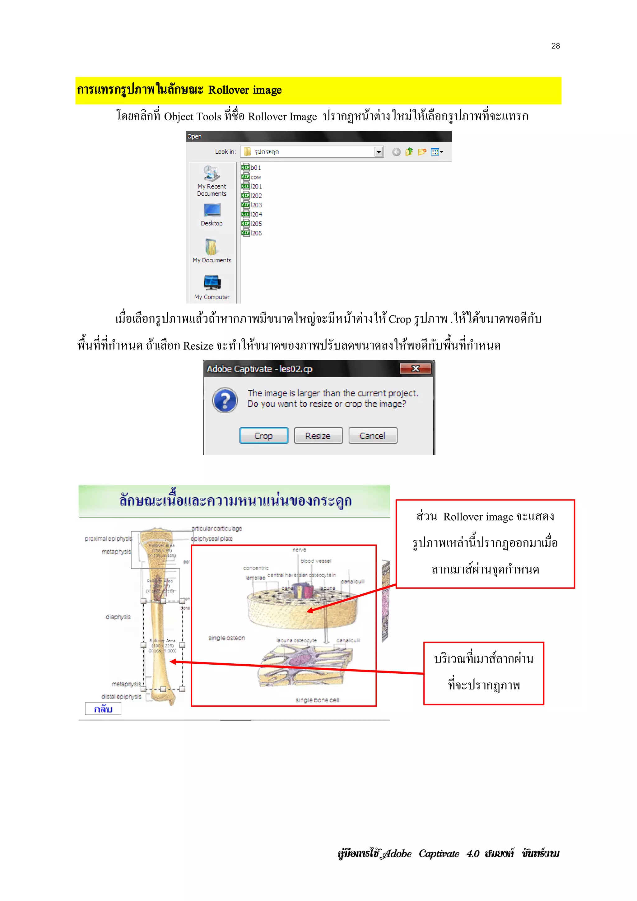 28


การแทรกรู ปภาพในลักษณะ Rollover image
       โดยคลิกที่ Object Tools ที่ชื่อ Rollover Image ปรากฏหนาต่างใหม่ให้เลือกรู ปภาพที่จะแทรก
                                                             ้




       เมือเลือกรู ปภาพแล้วถ้าหากภาพมีขนาดใหญ่จะมีหน้าต่างให้ Crop รู ปภาพ .ให้ได้ขนาดพอดีกบ
          ่                                                                                ั
พื้นที่ท่ีกาหนด ถ้าเลือก Resize จะทําให้ขนาดของภาพปรับลดขนาดลงให้พอดีกบพื้นที่กาหนด
           ํ                                                          ั        ํ




                                                                      ส่วน Rollover image จะแสดง
                                                                     รู ปภาพเหล่านี้ปรากฏออกมาเมือ
                                                                                                 ่
                                                                         ลากเมาส์ผานจุดกําหนด
                                                                                  ่




                                                                          บริ เวณที่เมาส์ลากผ่าน
                                                                             ที่จะปรากฏภาพ




                                                     คูมือการใช  สมยงค จันทรงาม
 