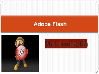 Adobe Flash Macromedia 