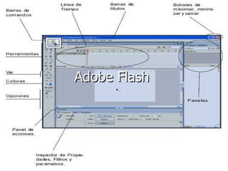 Adobe Flash  