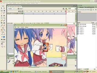 Adobe flash | PPTX
