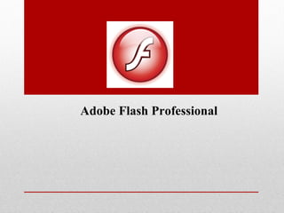 Adobe Flash Professional
 
