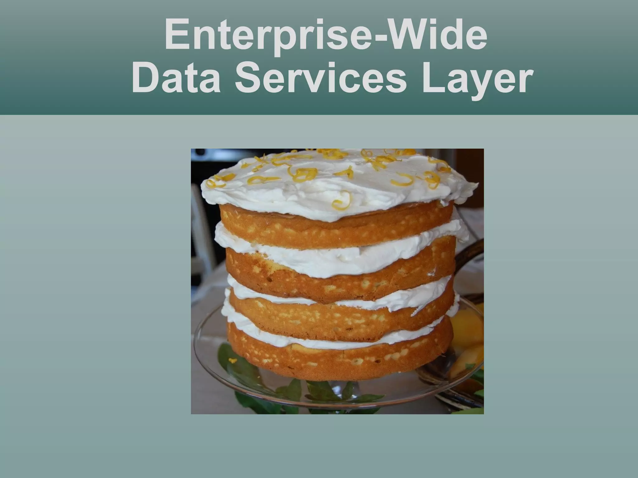 Enterprise-Wide
Data Services Layer
 