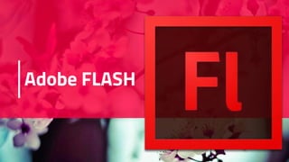 Adobe FLASH
 