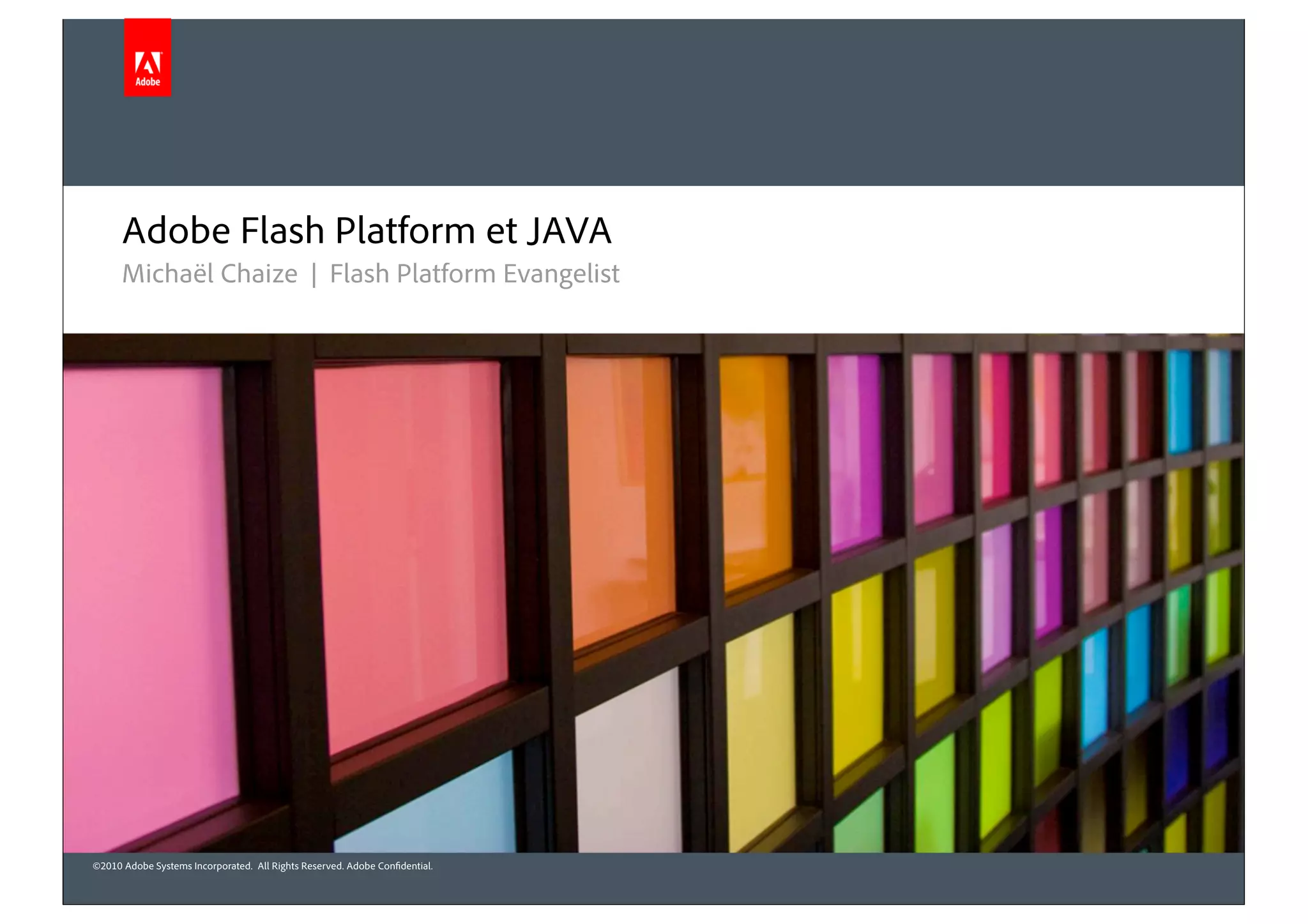 Adobe Flash Platform et JAVA
      Michaël Chaize | Flash Platform Evangelist




©2010 Adobe Systems Incorporated. All Rights Reserved. Adobe Con dential.
 