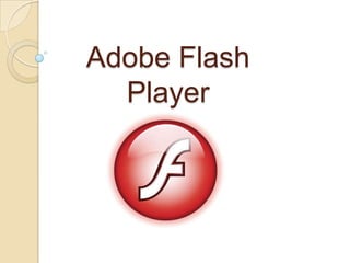 Adobe Flash
  Player
 