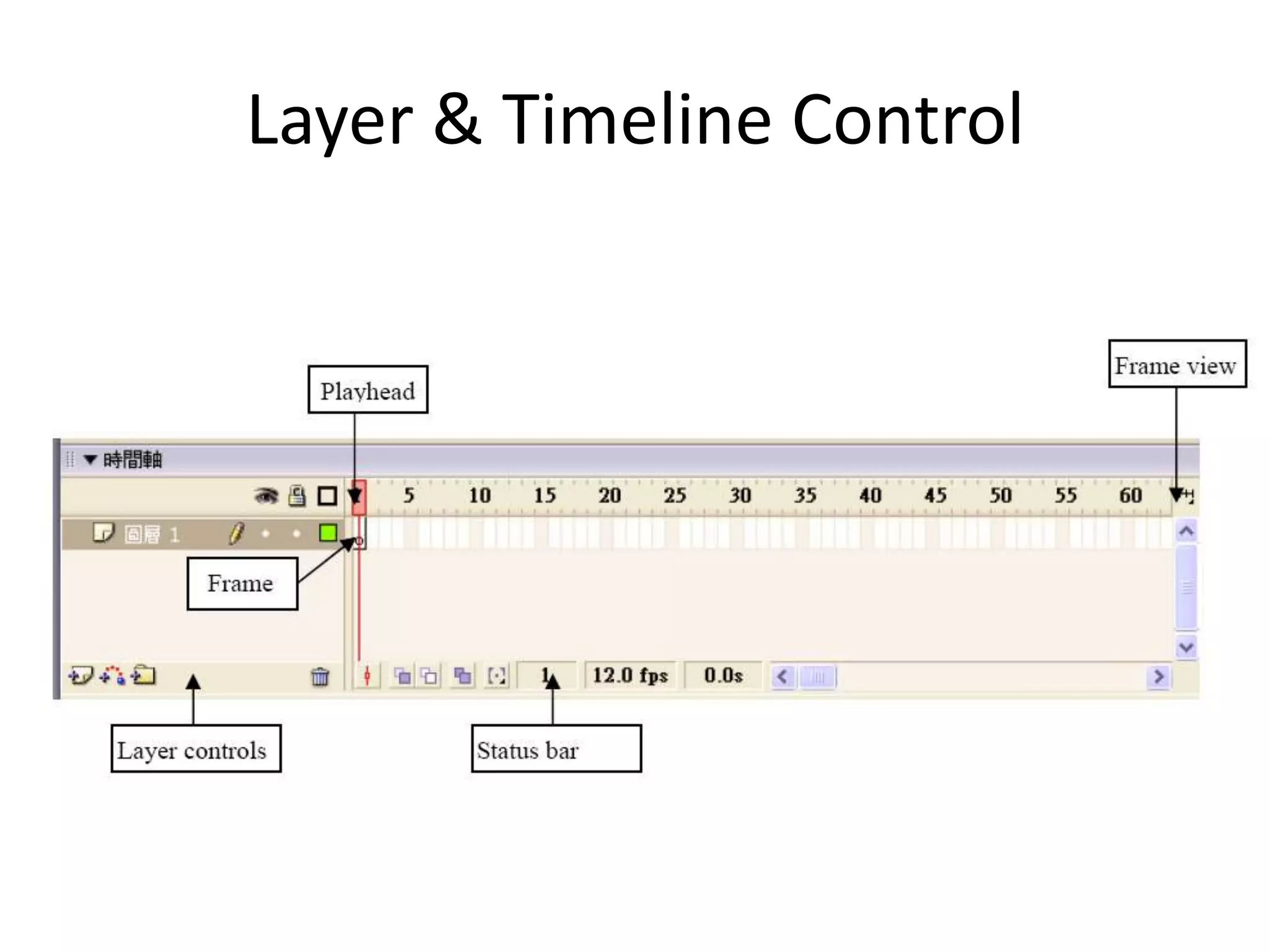 Adobe Flash Tutorial #1