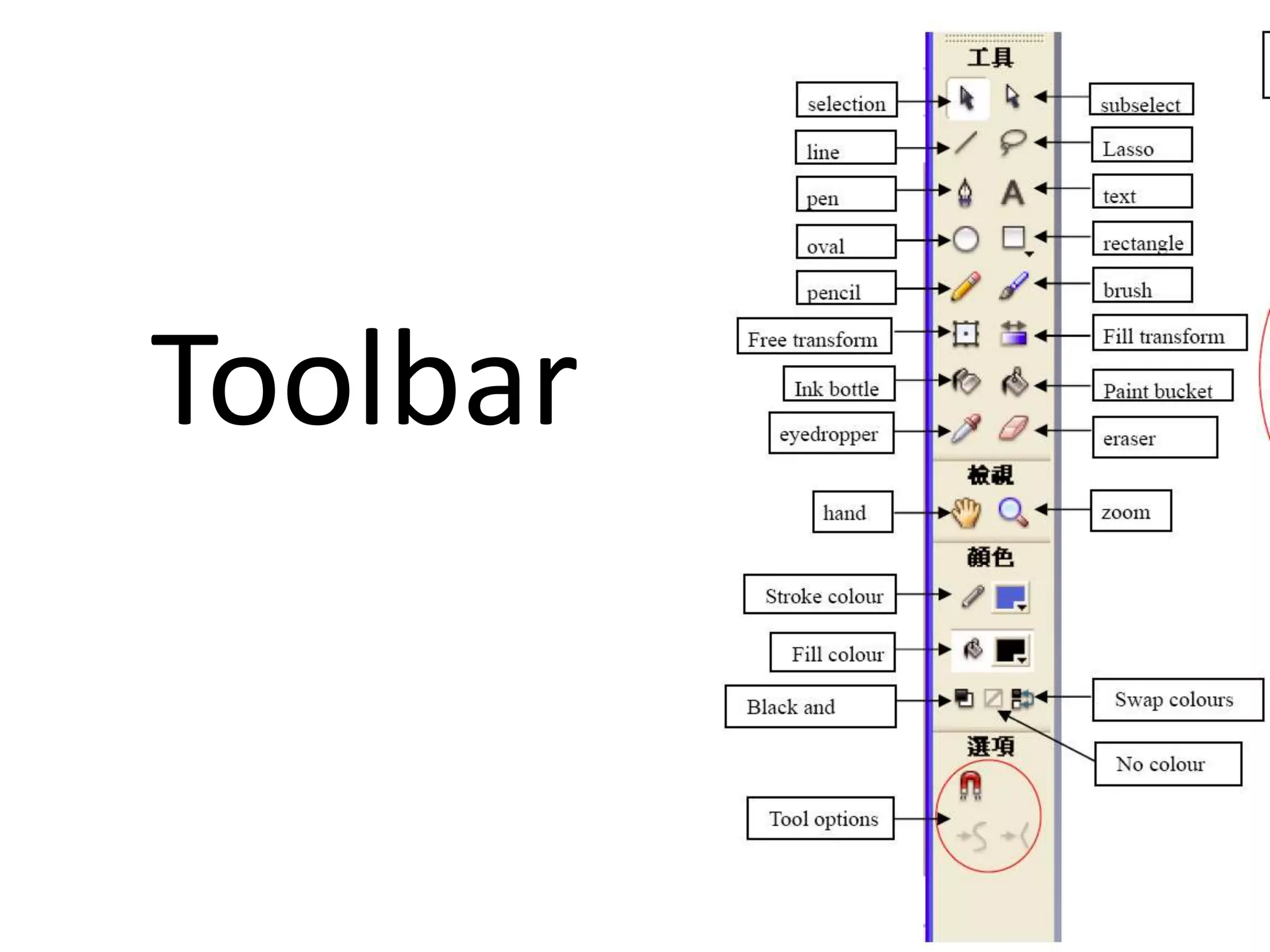 Adobe Flash Tutorial #1