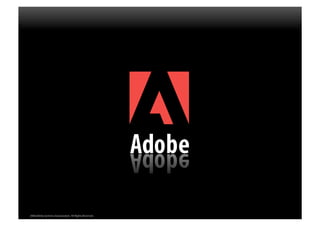 2008 Adobe Systems Incorporated. All Rights Reserved.
 