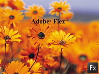 Adobe ®  Flex ™ 