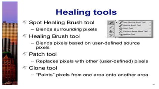 Adobe illustrator cs5 full tutorials | PPTX