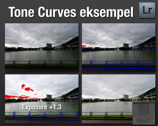 Tone Curves eksempel




  Exposure +1.3
 