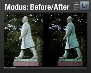 Library




Modus: Before/After
                      Develop
                      Print
                      Slideshow
                      Web
 