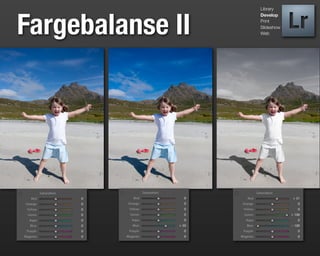 Library




Fargebalanse II
                  Develop
                  Print
                  Slideshow
                  Web
 