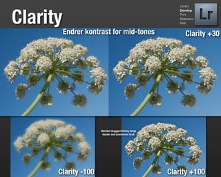 Library




Clarity
                                                         Develop
                                                         Print
                                                         Slideshow
                                                         Web


          Endrer kontrast for mid-tones                     Clarity +30




                      Uønsket skyggevirkning langs
                       kanter ved overdreven bruk




      Clarity -100                                   Clarity +100
 