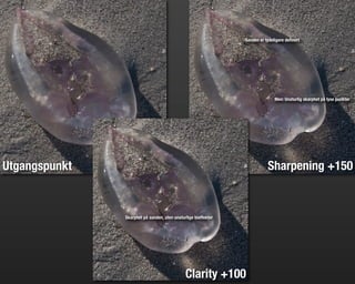 Sanden er tydeligere deﬁnert




                                                                               Men: Unaturlig skarphet på lyse punkter




Utgangspunkt                                                               Sharpening +150


               Skarphet på sanden, uten unaturlige bieffekter




                                              Clarity +100
 