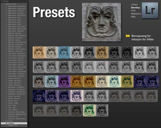 Library




Presets
          Develop
          Print
          Slideshow
          Web




          Bonuspoeng for
          lokasjon for bildet
 